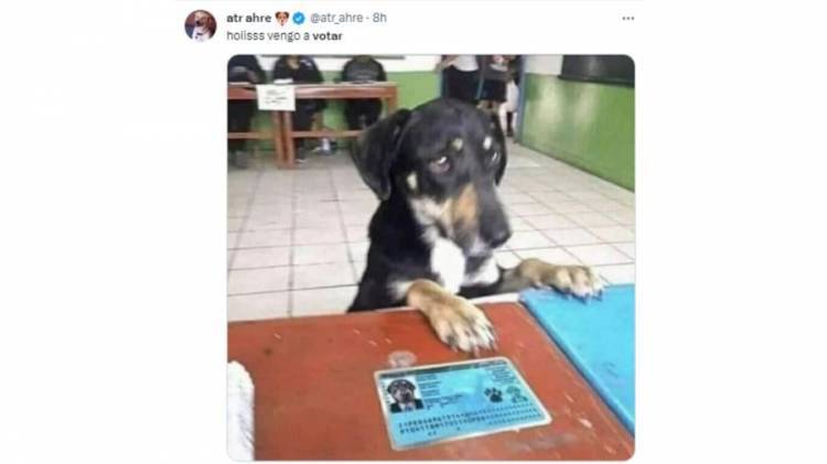 Con las PASO 2023, también pasaron los memes