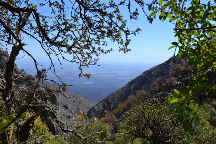 Jornada para descubrir la belleza del Bosque de Tabaquillos en La Población