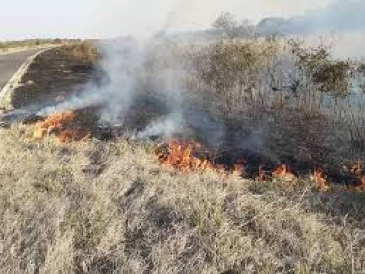 Incendios en Córdoba