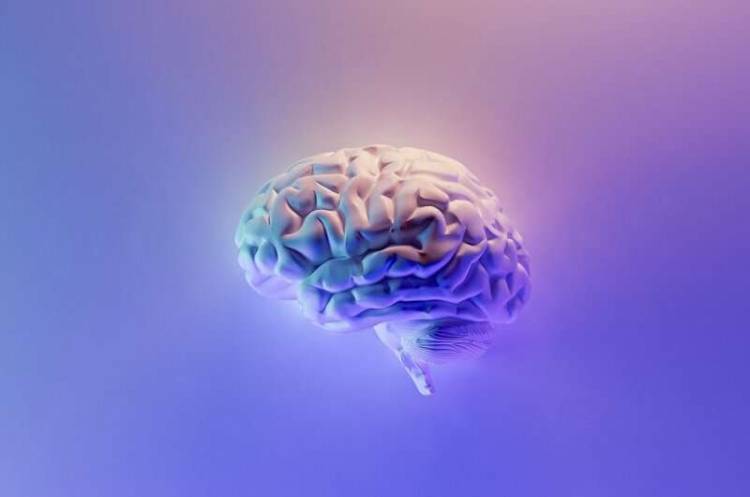 Los científicos matan el cáncer de cerebro con terapia cuántica por primera vez