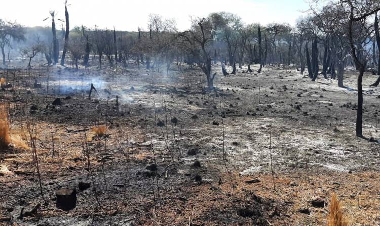 Asistirán a los evacuados por los incendios  efectuados en la zona sur de Punilla