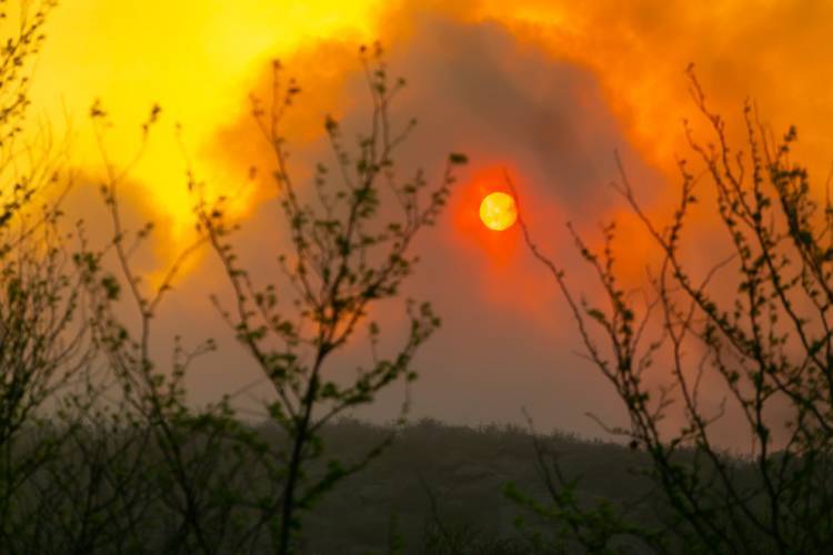 ¿Cómo está la situación actual de los incendios en la provincia?