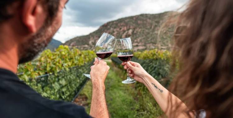 Profesionales de la actividad vitivinícola buscan fortalecer el enoturismo
