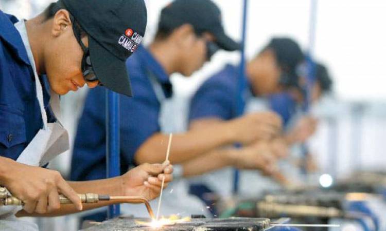 En los últimos cinco años, el empleo joven alcanzó el máximo nivel