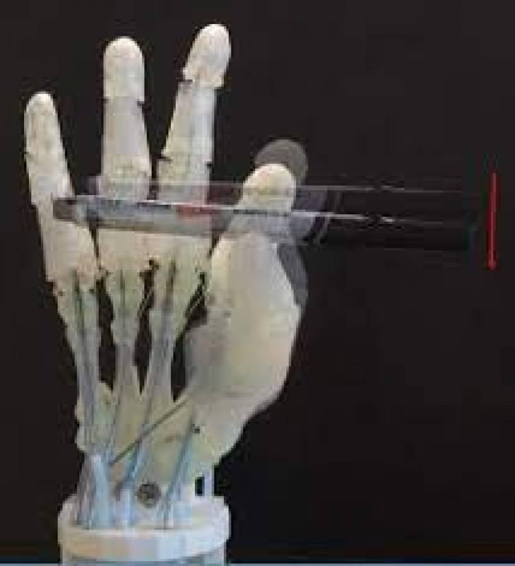Robots impresos con huesos, ligamentos y tendones
