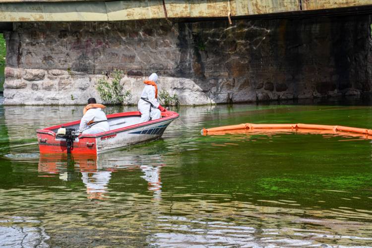 Ambiente trabaja en el lago San Roque para  frenar el ingreso de cianobacterias