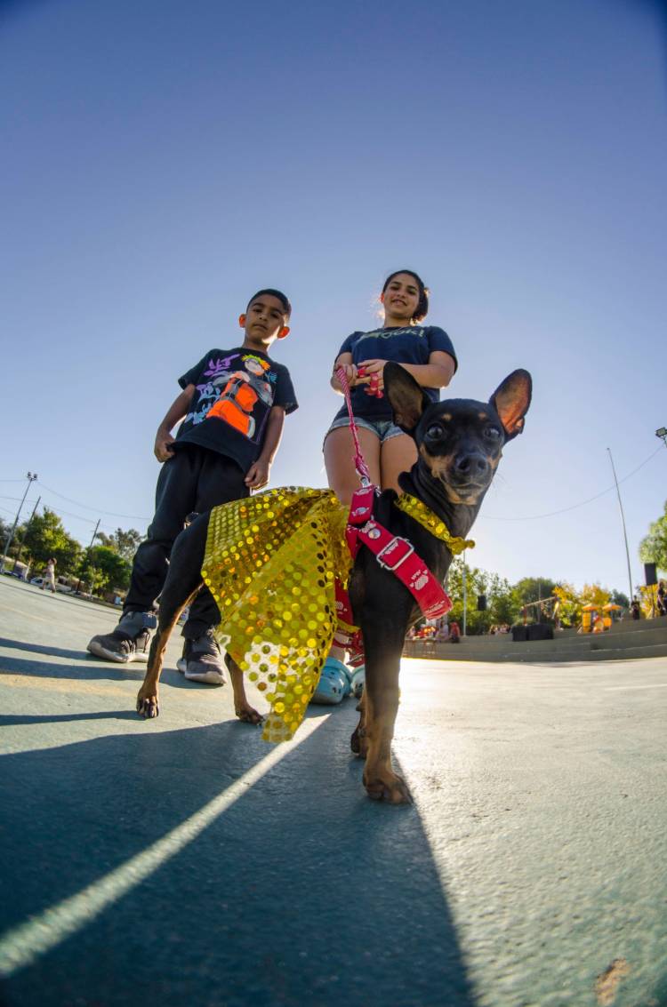 Saldán festeja el Día del Animal con un desfile de mascotas