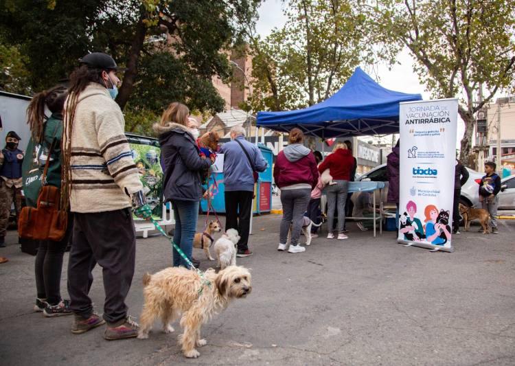 Las mascotas tendrán un festival con interesantes propuestas