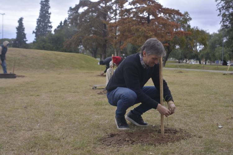 Forestaron el Parque Sarmiento con 100 árboles nativos