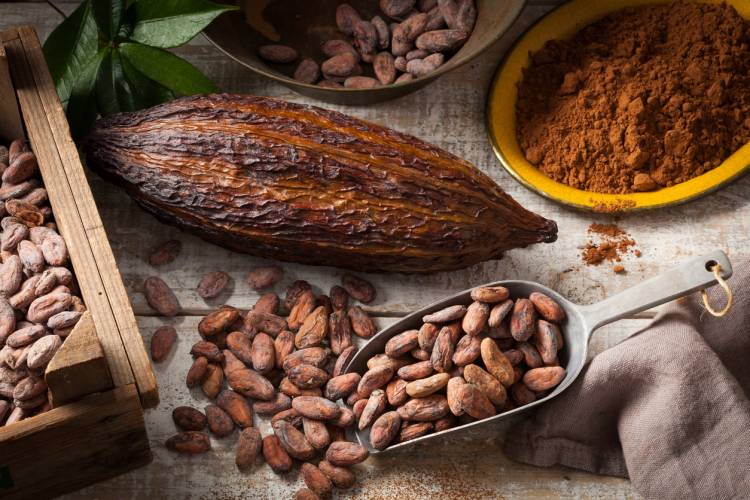 Hallan un nuevo beneficio para la salud sobre el consumo de cacao