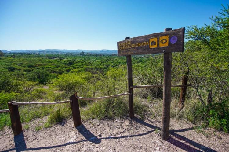 Viernes de caminata en la Reserva San Martín 