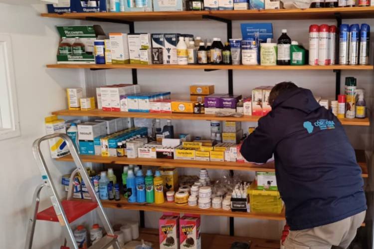 En Noetinger, detectaron 3 mil productos zooterápicos en venta ilegal