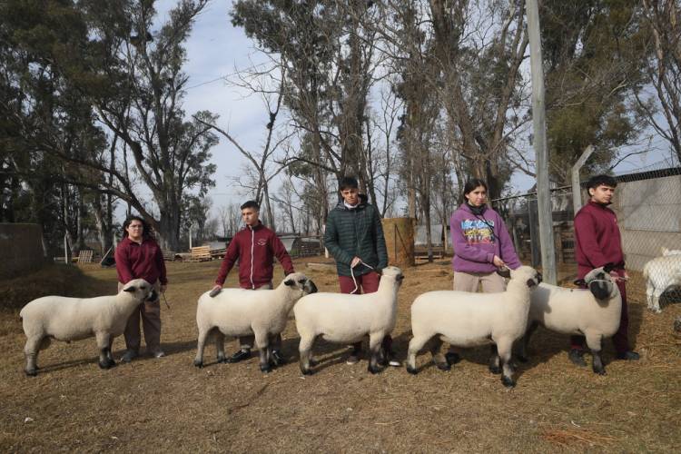 General Cabrera:El IPEA 231  fue premiado en  la Expo Rural de Palermo