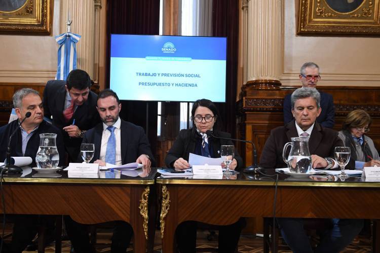 El kirchnerismo y parte de la UCR buscan que el proyecto de reforma jubilatoria llegue al Senado