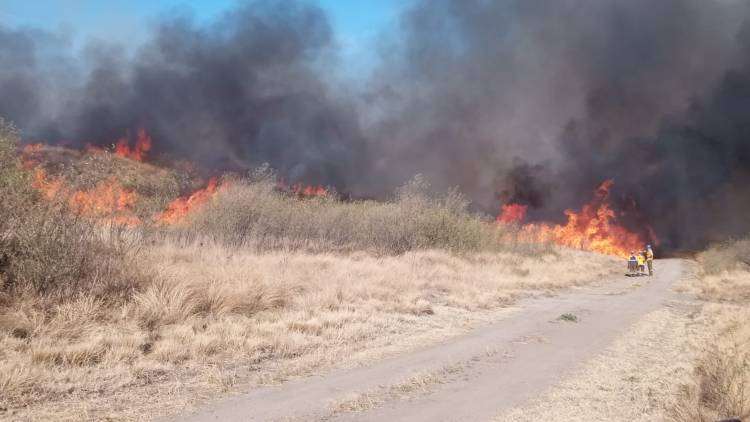 Voraz incendio en Estancia La Paz