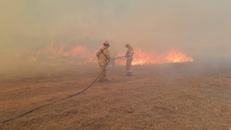 Bomberos de 8 localidades batallan contra el fuego en La Calera