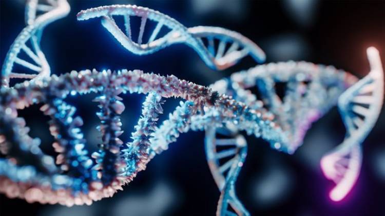 Descubren un 'botón de pausa' en el desarrollo humano