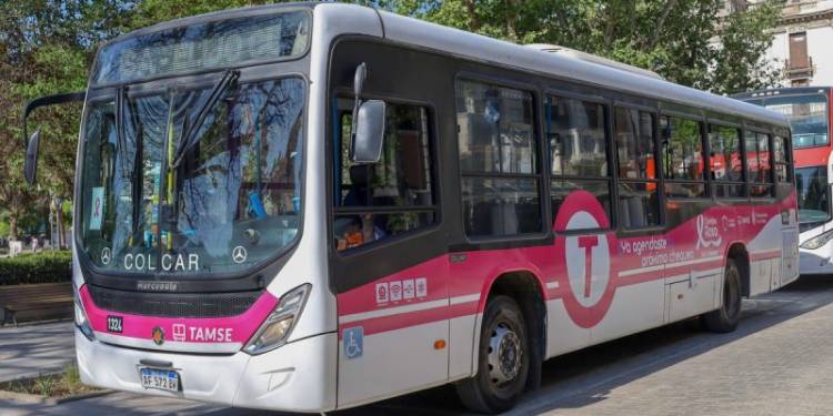 Un colectivo de Tamse  se suma para concientizar sobre el cáncer de mama