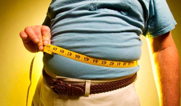 Desarrollan un novedoso método para combatir la obesidad