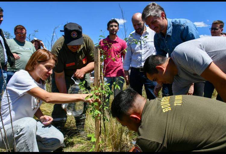 Impulsan un programa de  forestación del Camino Real