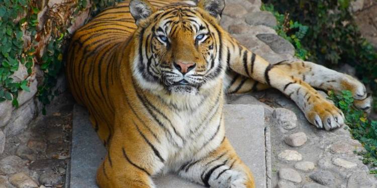 Tristeza en el Parque de la Biodiversidad