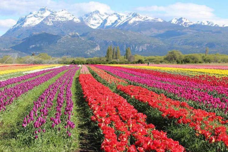Argentina reconocida como un modelo a seguir por la ONU Turismo