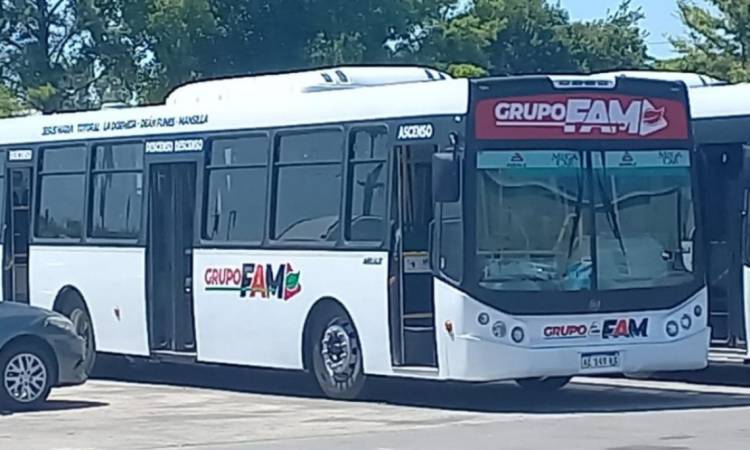 A partir de lunes, Grupo FAM tendrá nuevas líneas de transporte