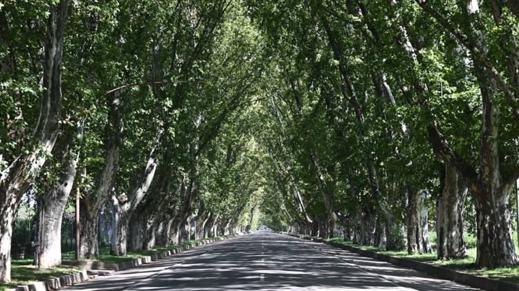 Historia del "túnel natural" que cumple 110 años