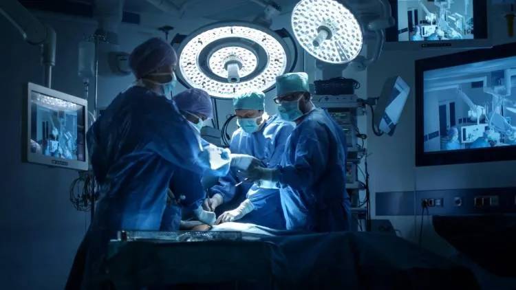 Transplantaron un  hígado de cerdo a una persona con muerte cerebral