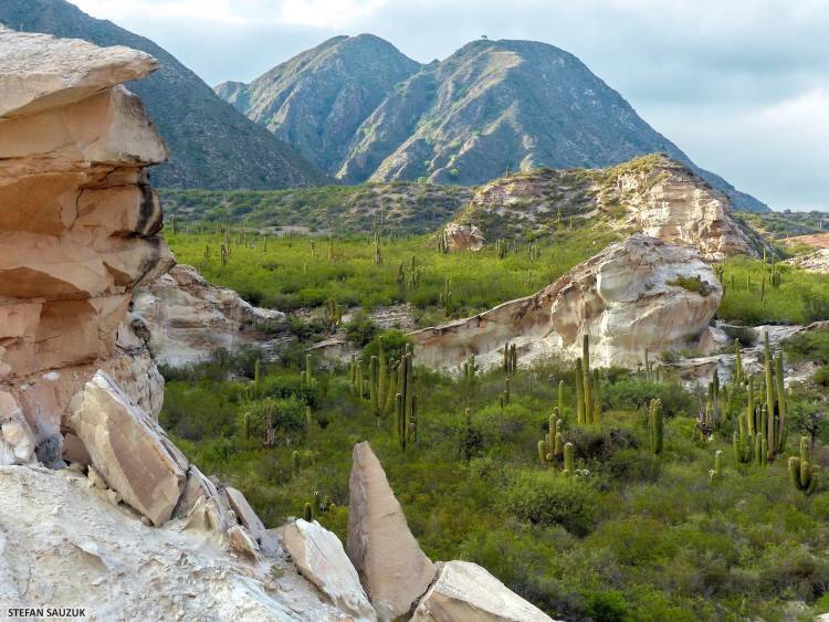 La Quebrada de La Cébila: El corredor natural que enamora