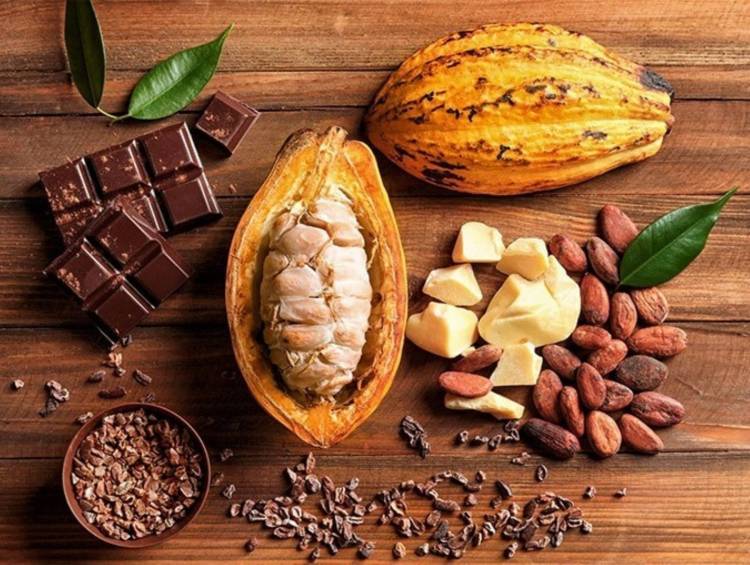 Cacao: El alimento de los dioses celebra su Día Mundial entre historia, pasión y conciencia global