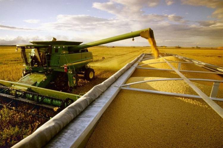Golpe de alivio al agro: El Gobierno Nacional elimina retenciones hasta octubre