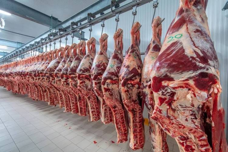 El negocio de la carne argentina crece a ritmo récord hacia EE. UU.