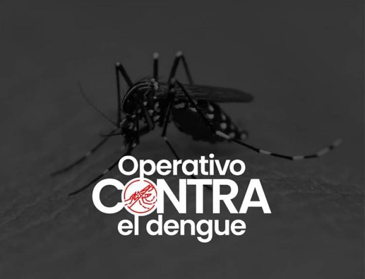 Villa Allende lanza un operativo integral contra el dengue en noviembre
